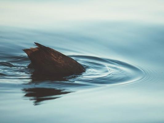 为什么水质分析仪很重要？