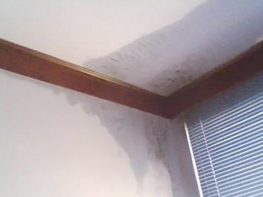 如何处理从厕所管道漏水到楼下？