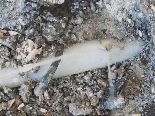 管道漏水查漏检测设备的重要性和应用
