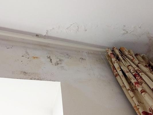 精准测漏仪解决房屋漏水问题