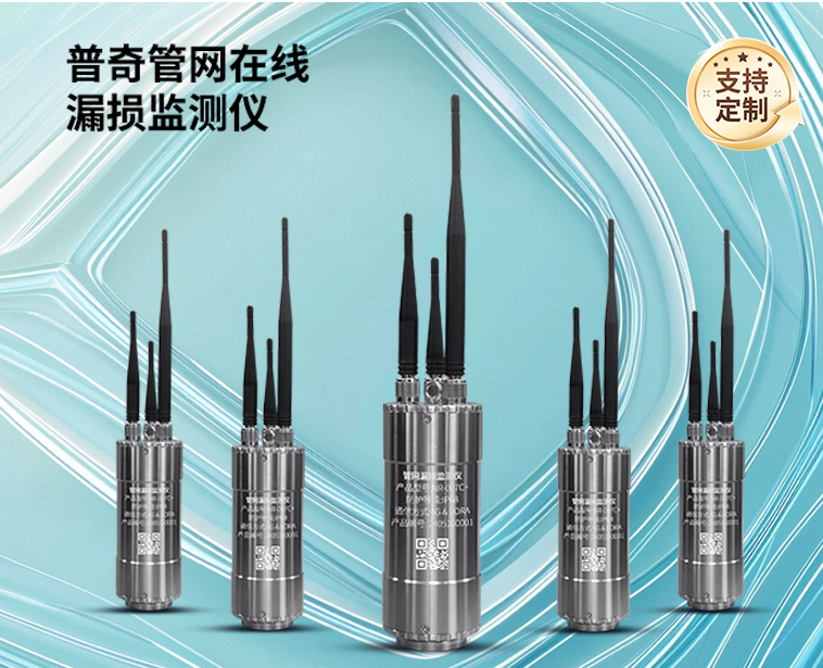 管网在线漏损监测仪