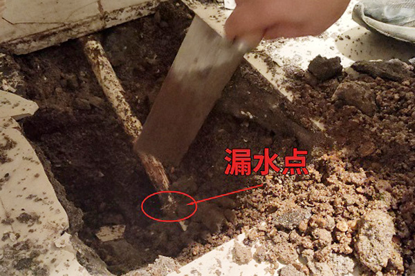用漏水检测仪成功定位漏水点